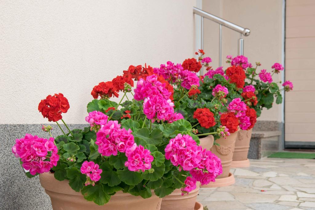 PUY Apartments Hortensia מראה חיצוני תמונה
