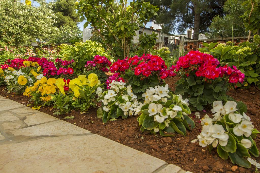 PUY Apartments Hortensia מראה חיצוני תמונה